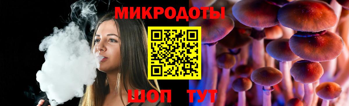 Псилоцибиновые грибы Psilocybe Тихорецк